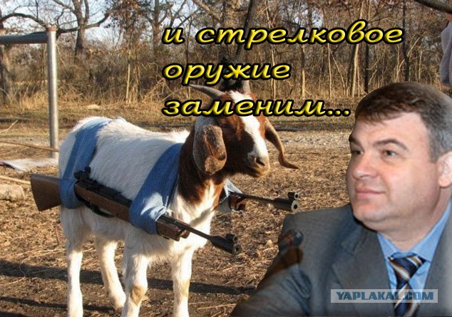 Самоходное двуствольное орудие