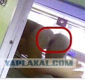 Педагоги в поезде