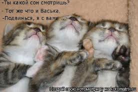 Добряки, плюсующие всех подряд