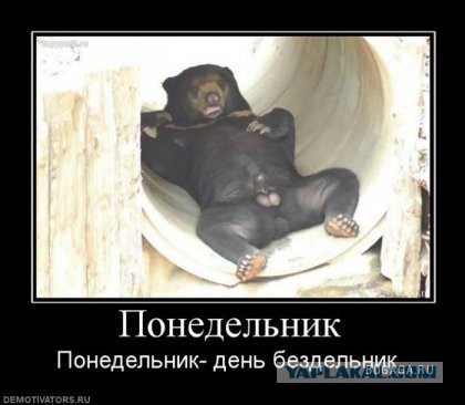 Немного смешных картинок из сети