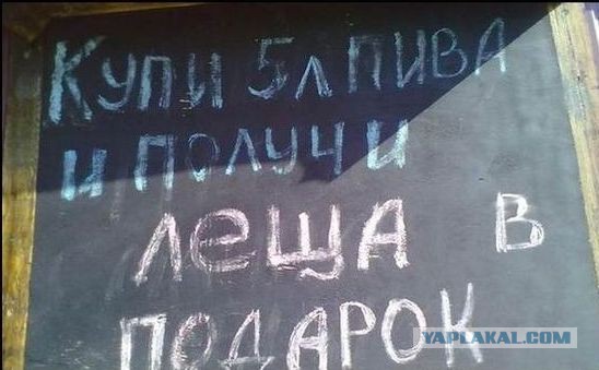 Купил вчера пивка