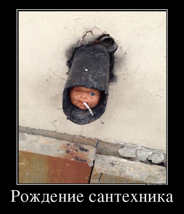 Подборка весёлых картинок