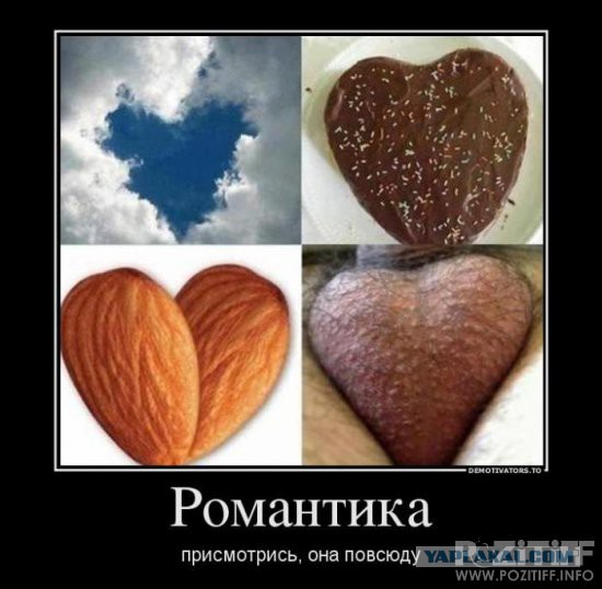 Смешные картинки