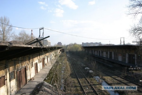 Филиал ада в СПб