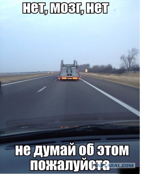 Демотиваторы вторника