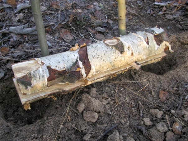 Конвекционный очаг