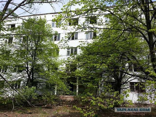 Поездка в Зону Отчуждения