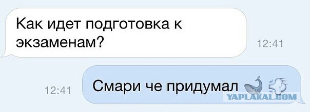 Смешные комментарии из социальных сетей