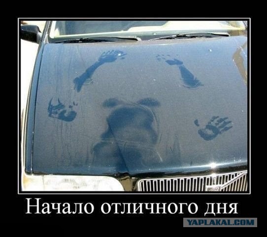 Картинки из инета