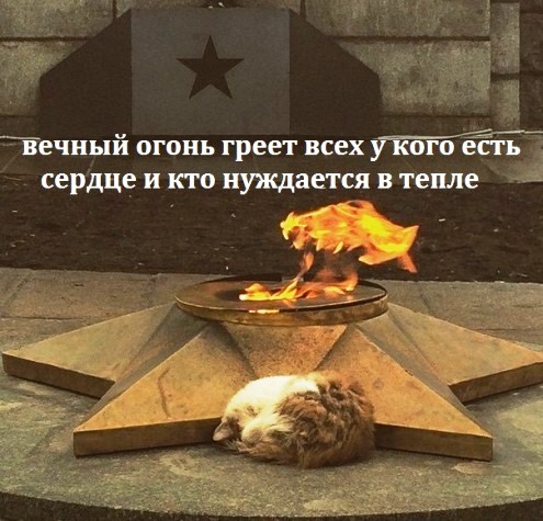 Омичка, оскорблявшая в соцсетях ветеранов