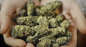 А какую таблетку выберет ЯПовец?