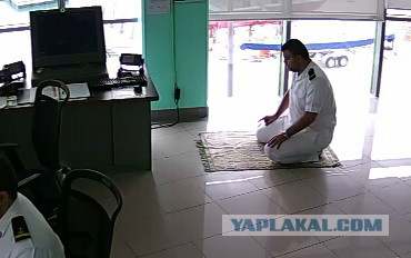 За что я люблю китайцев