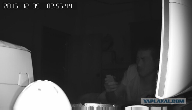 За что я люблю китайцев