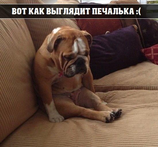 Картинки на пятницу