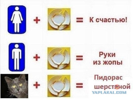 Разные картинки из сети