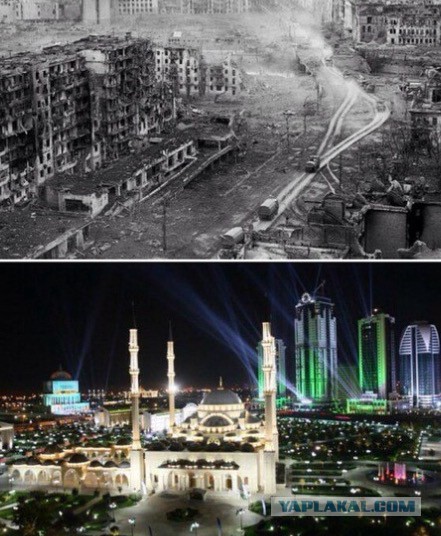 «Если бы не демократия»: моськи и овчарки Кадырова