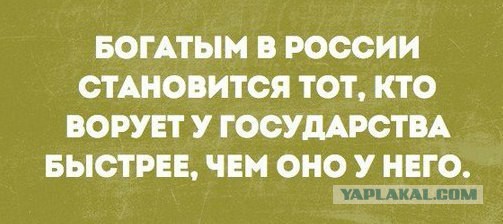 Смешные комментарии из социальных сетей 19.02.2016