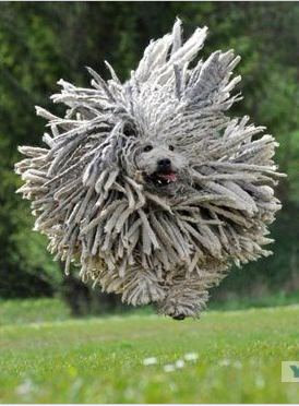 Больше, чем фото