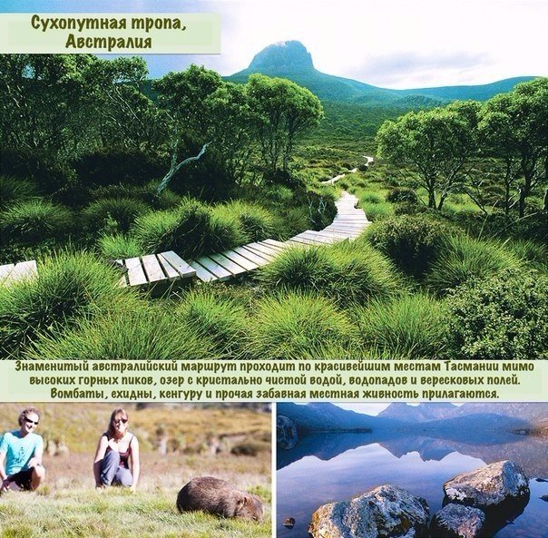 Картинки разные