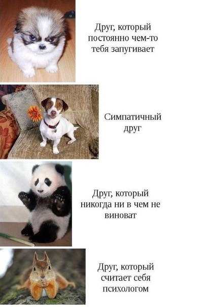 Интересные и веселые картинки