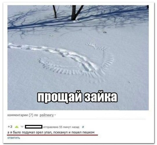 Ужасы и приколы из соцсетей 18+