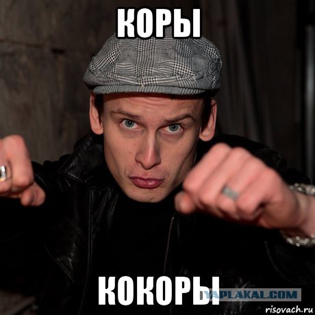 Извинения Кокорин залил «Мерседесом»