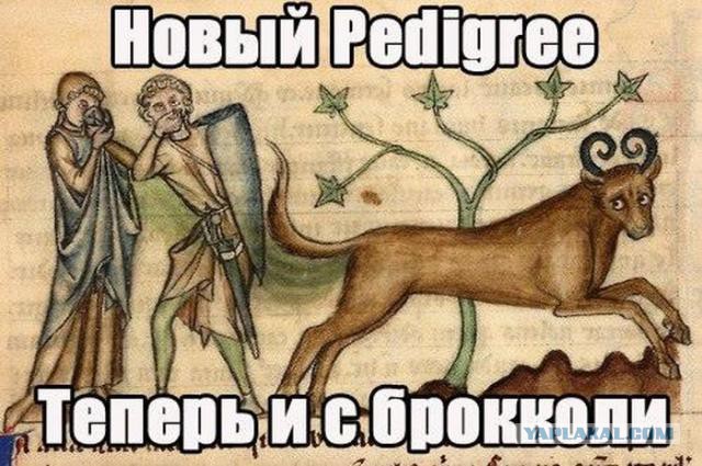Веселое Средневековье