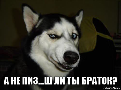 Веганы