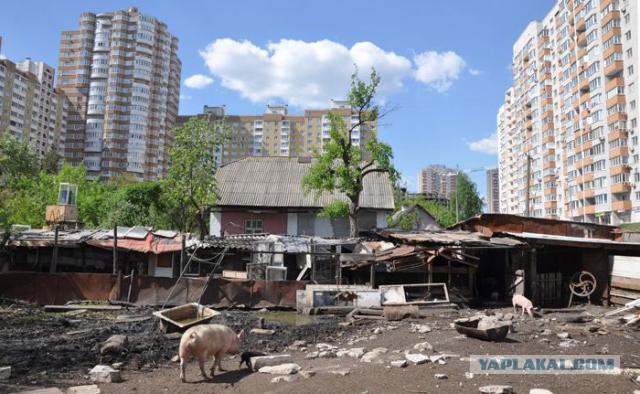 Интересные и редкие ретро-фотографии