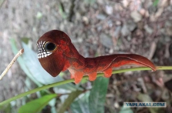 20 мест, которые отфотошопила сама природа