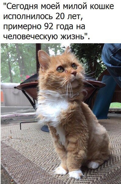 Глазки от работы отрывайте, на картинки повтыкайте!