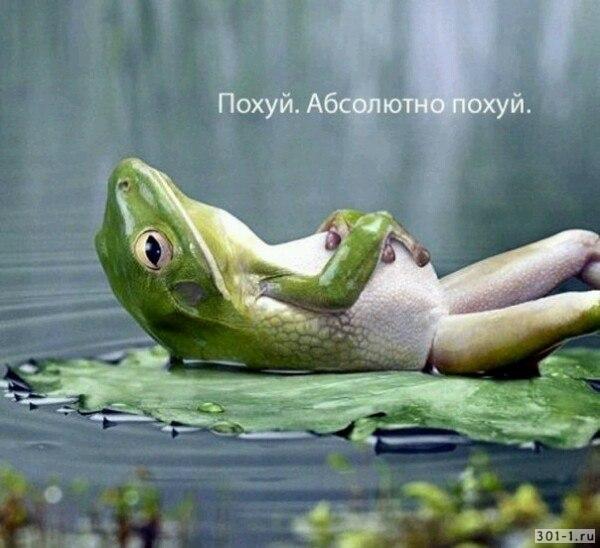 О по#уизме: по#уизм не только помогает решать проблемы, он делает жизнь ярче и веселее