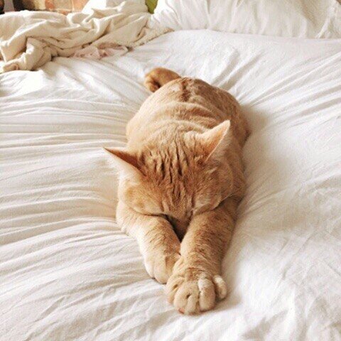 Немного милоты