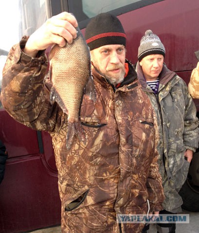 Надоела политика... или поймал окунька на 42см