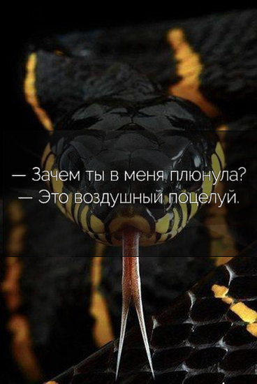 Специфический юмор