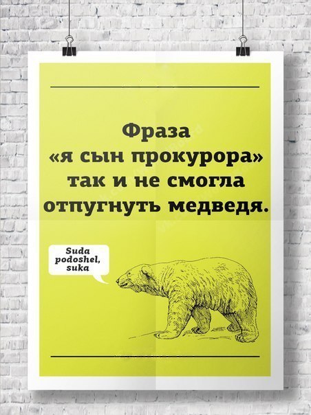 В России в медвежьей берлоге был найден живым мужчина