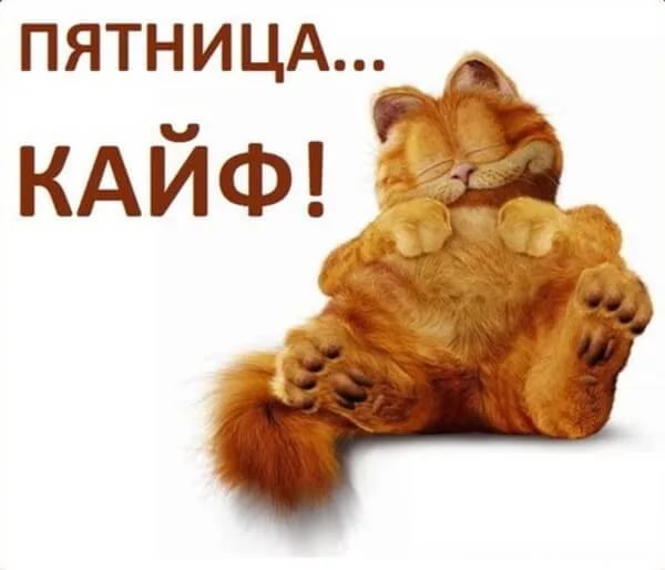 Картинки с надписями и анекдоты