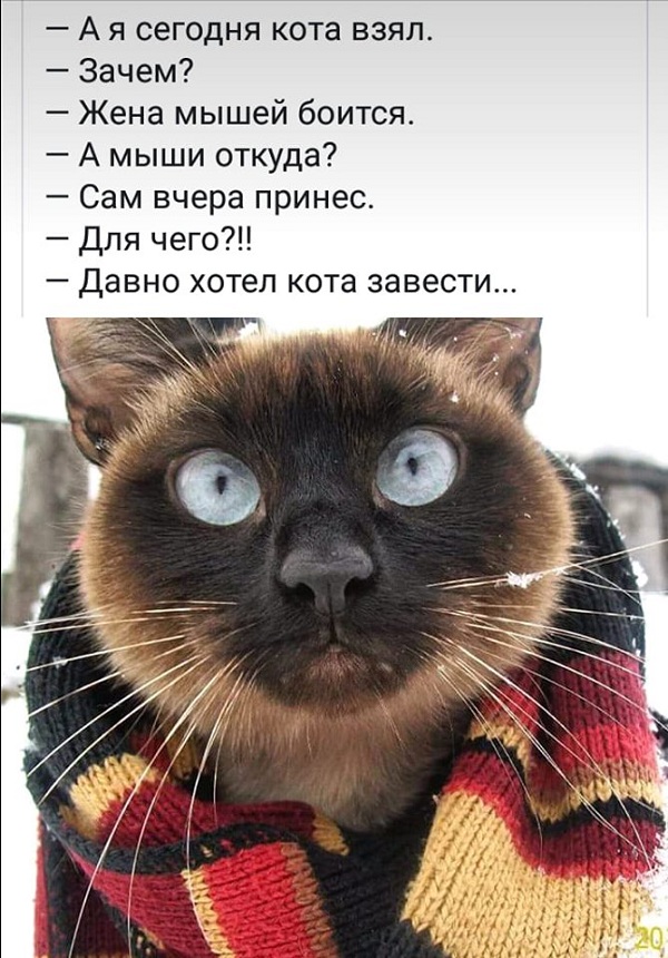 13623139.jpg