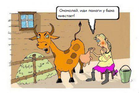 Фотожаба: Задумчивая доярка