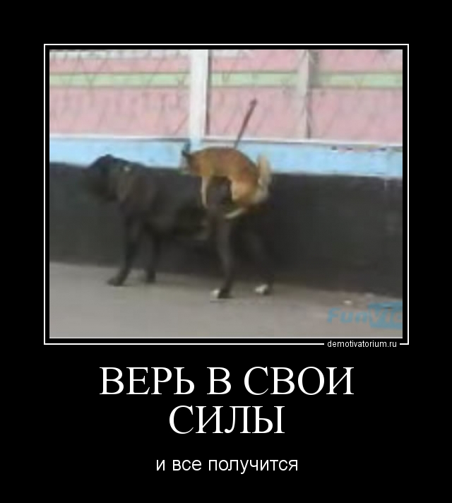 Очень пошлые картинки про это. Часть 2. 18+