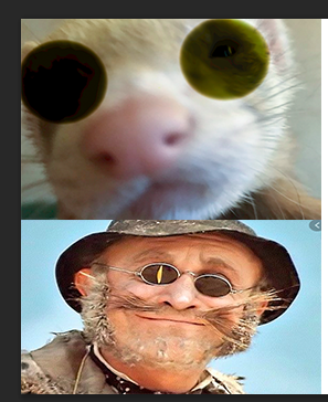 Польский суп с хреном и белыми колбасками