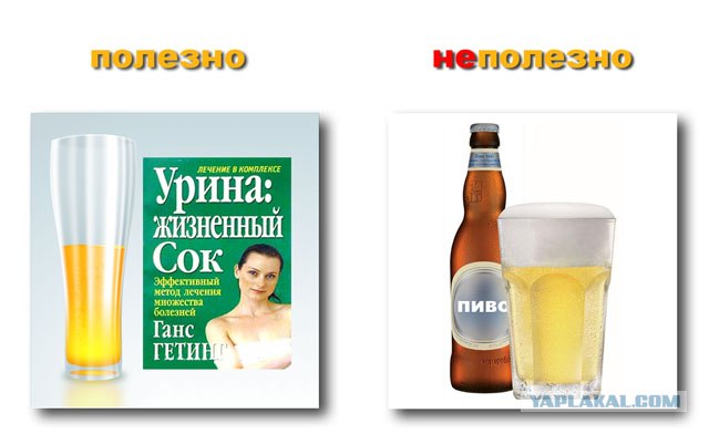 Полезное и не полезное