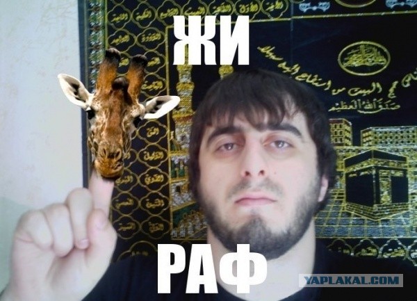 В Госдуме нашли повод поднять цены на пиво