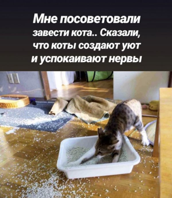 Картинки разнообразные. На злобу дня и на доброту (28.10)