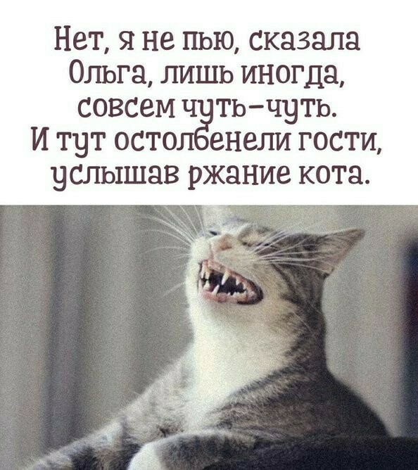 Как дела?