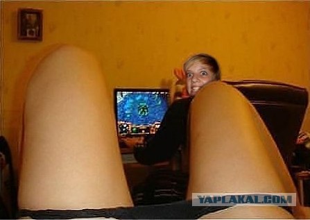 Вытянулась: картинка и 2 жабы