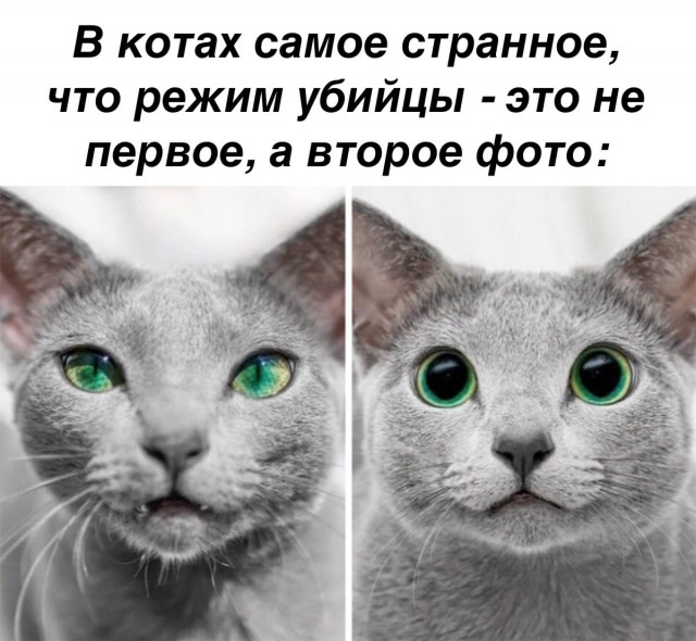 Картинки и мемы для настроения 012