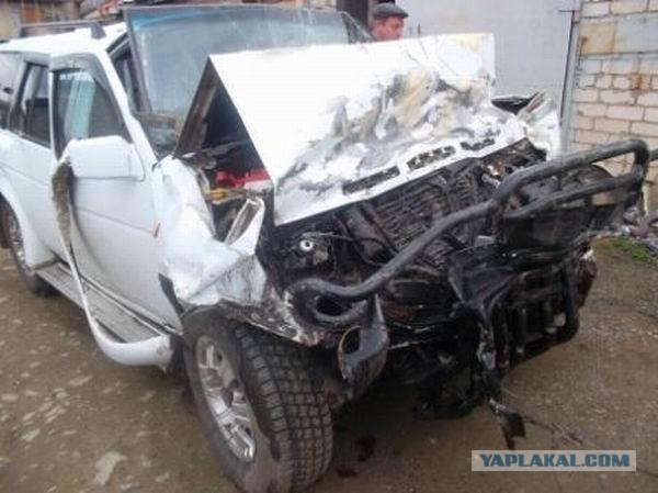 Лобовая с газелью