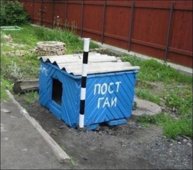 Так себе картинки 21.03.21
