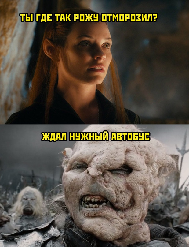 Насохранял